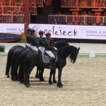 Friezen Show Team vierde op Indoor Friesland