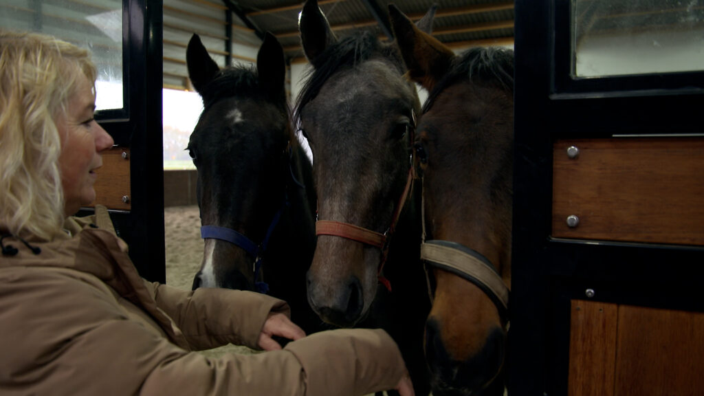 Zorgboerderij de Bokstee