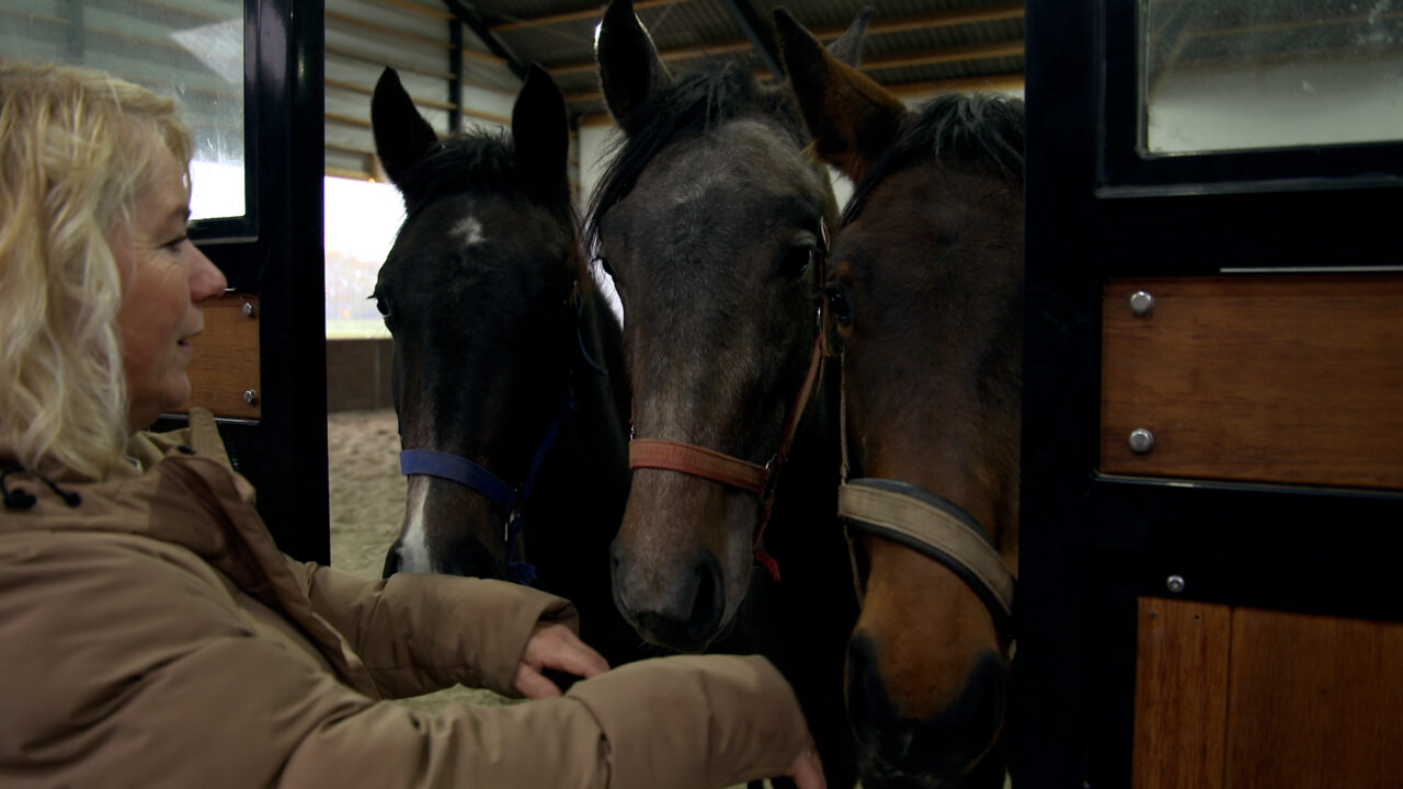 Zorgboerderij de Bokstee