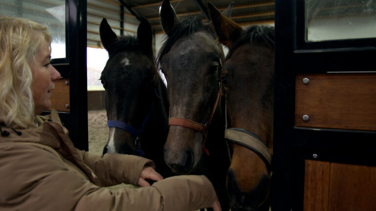 Zorgboerderij de Bokstee