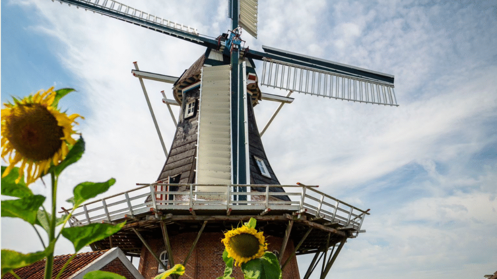 Noordstar molen in Noordbroek