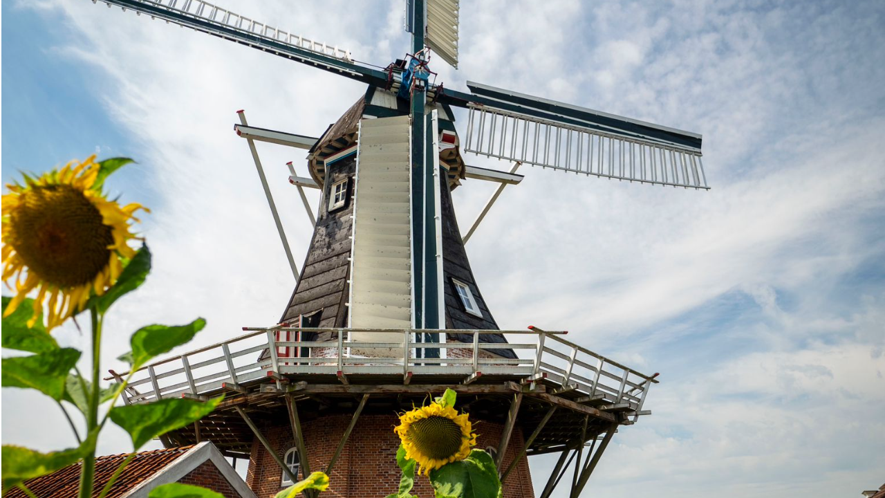 Noordstar molen in Noordbroek