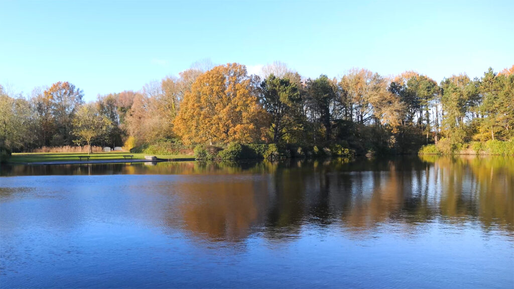 Grote vijver Gorechtpark
