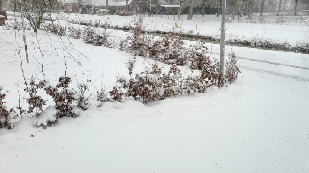 Kiel-Windeweer sneeuw