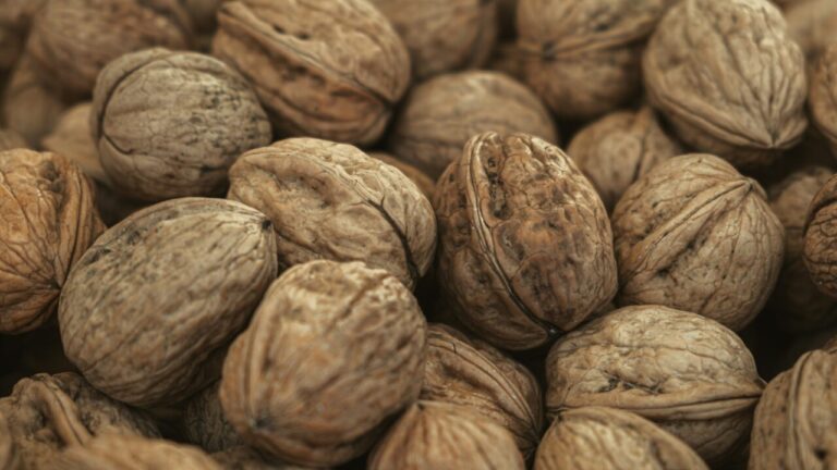 walnoten, pixabay