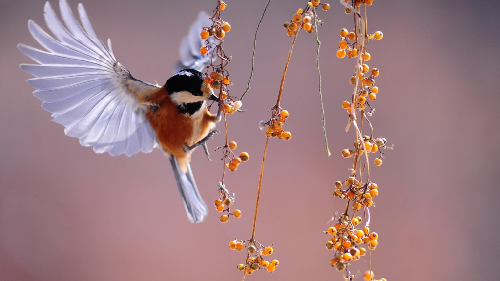 image - 2026-03-02T134422.999