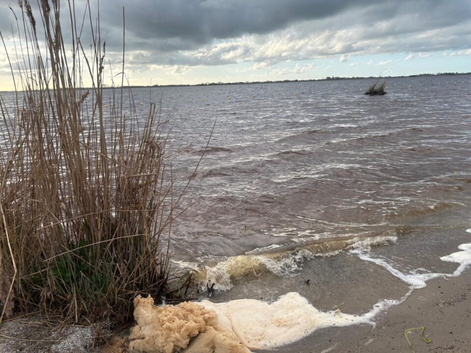 Schildmeer vanaf het strand