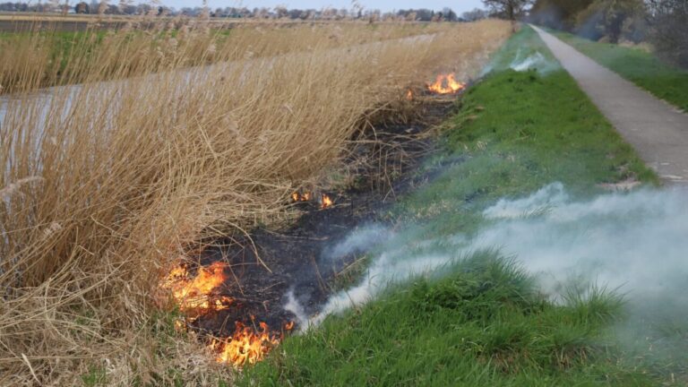 Rietbrand langs fietspad bij Kiel-Windeweer