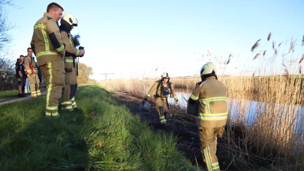 Brand Rietkraag langs het fietspad tussen Kiel-Windeweer en Kropswolde