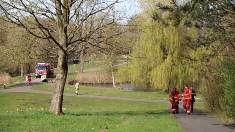 Brandje achter bult in Gorechtpark snel onder controle
