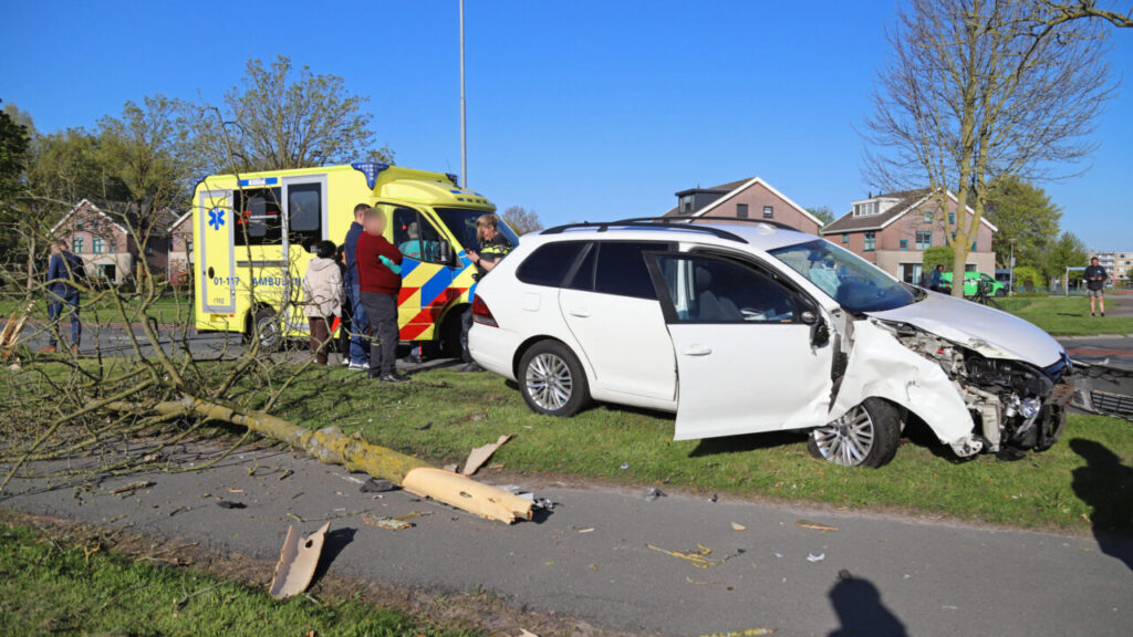 Auto botst tegen boom op Gorechtlaan