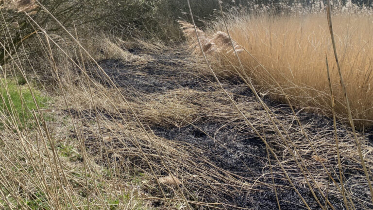Twee kleine branden in Leinwijk Kropswolde