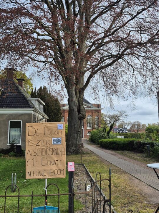 Inzamelactie boom in Sappemeer. doopsgezinde kerk.