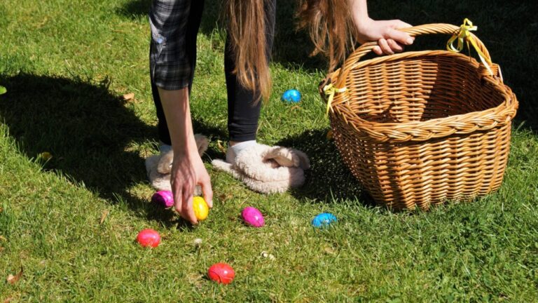 eieren zoek in gras, pixabay