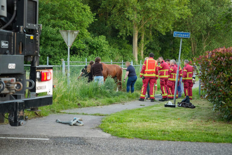 Paard door brandweer bevrijdt uit wildrooster Harkstede
