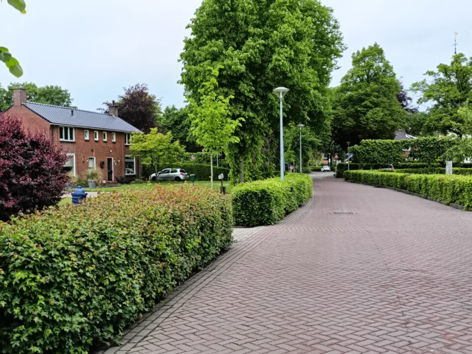 Westerbroek