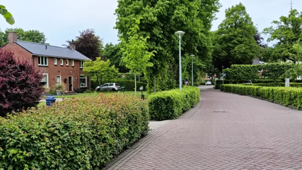 Westerbroek