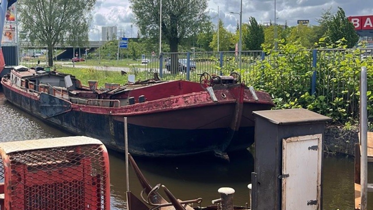 Groningse bol