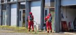 Hond komt om bij brand in Zuidbroek