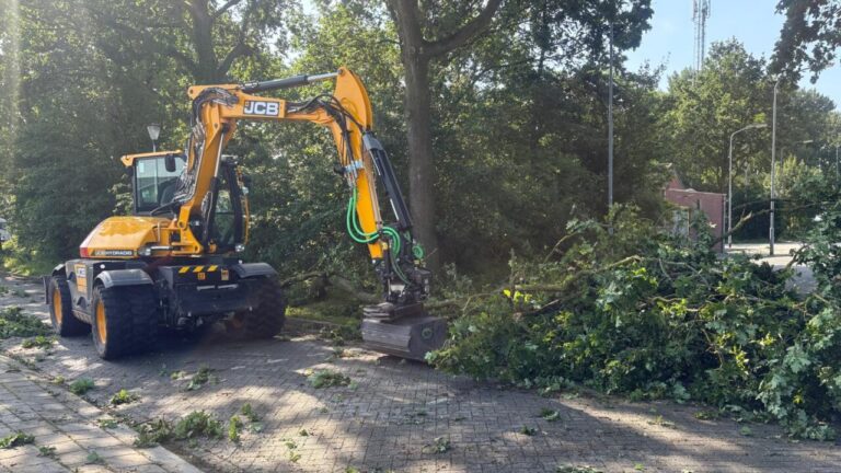 Stormschade 20 juni, gemeente ruimt op