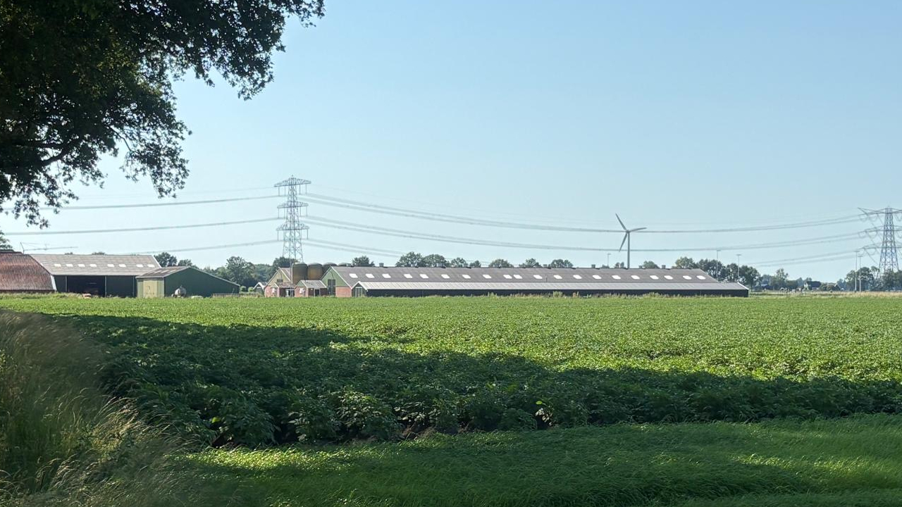 Siddeburen Pluimveehouderij