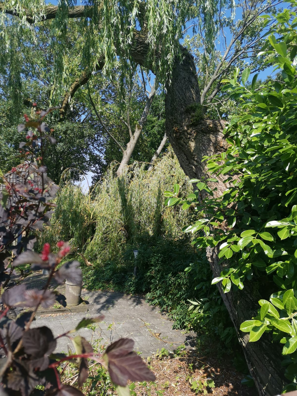 Stormschade EHBO