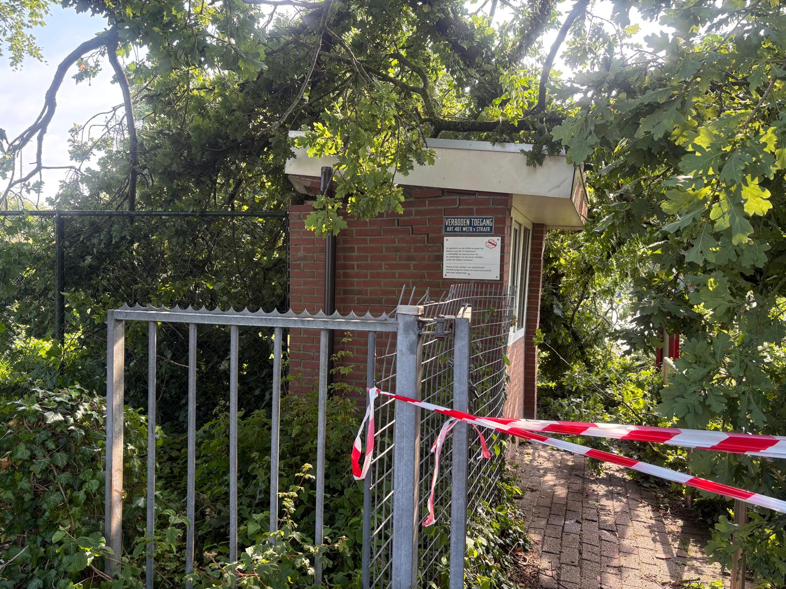 Boom op kassa-unit vv Siddeburen tijdens storm