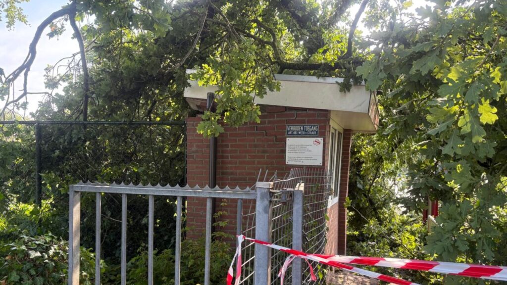 Boom op kassa-unit vv Siddeburen tijdens storm