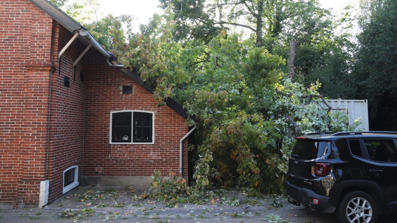 Boom op huis Hoogezand 112 bericht