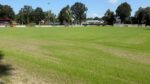 Fatbike en hondenpoep op veld Siddeburen