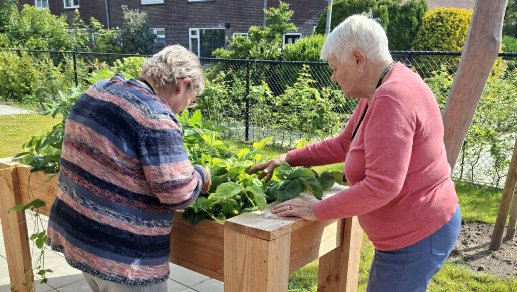 Woldwijckhuis Hoogezand zoekt vrijwilligers