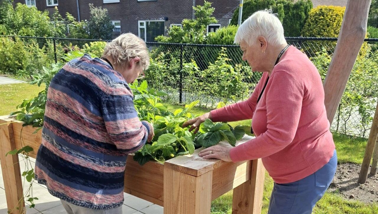 Woldwijckhuis Hoogezand zoekt vrijwilligers