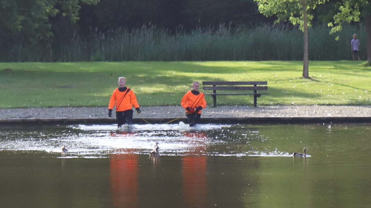 Gewonde nijlgans Gorecht park Hoogezand