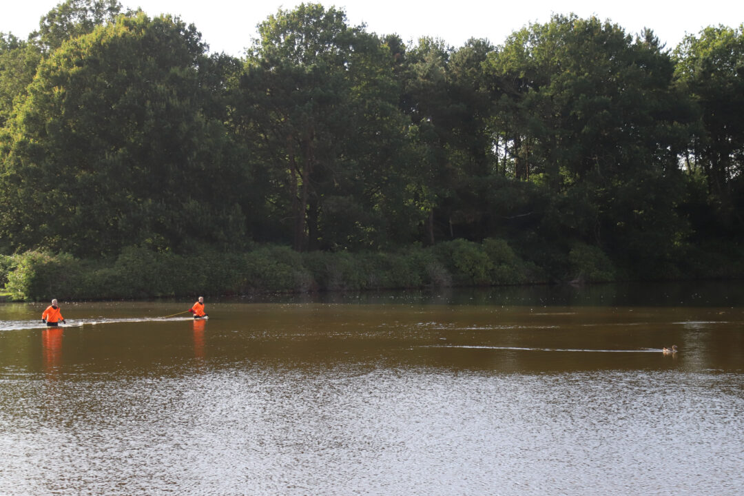 Gewonde nijlgans Gorecht park Hoogezand