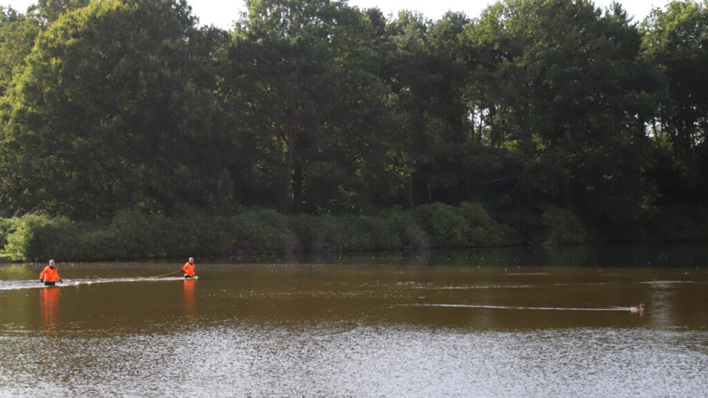 Gewonde nijlgans Gorecht park Hoogezand