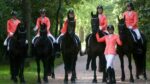 Friezen Show Team opnieuw Gronings kampioen