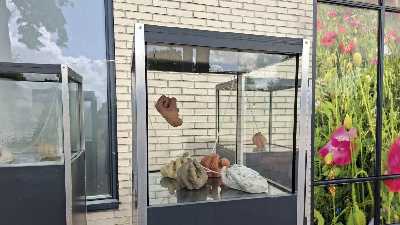 Memory making’ van beeldend kunstenaar Leoni Janssen te zien aan de Hoofdweg in Siddeburen