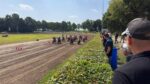 Positieve reacties na races Siddeburen