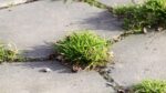 Gemeentebelangen kritisch op afhandeling Fixi