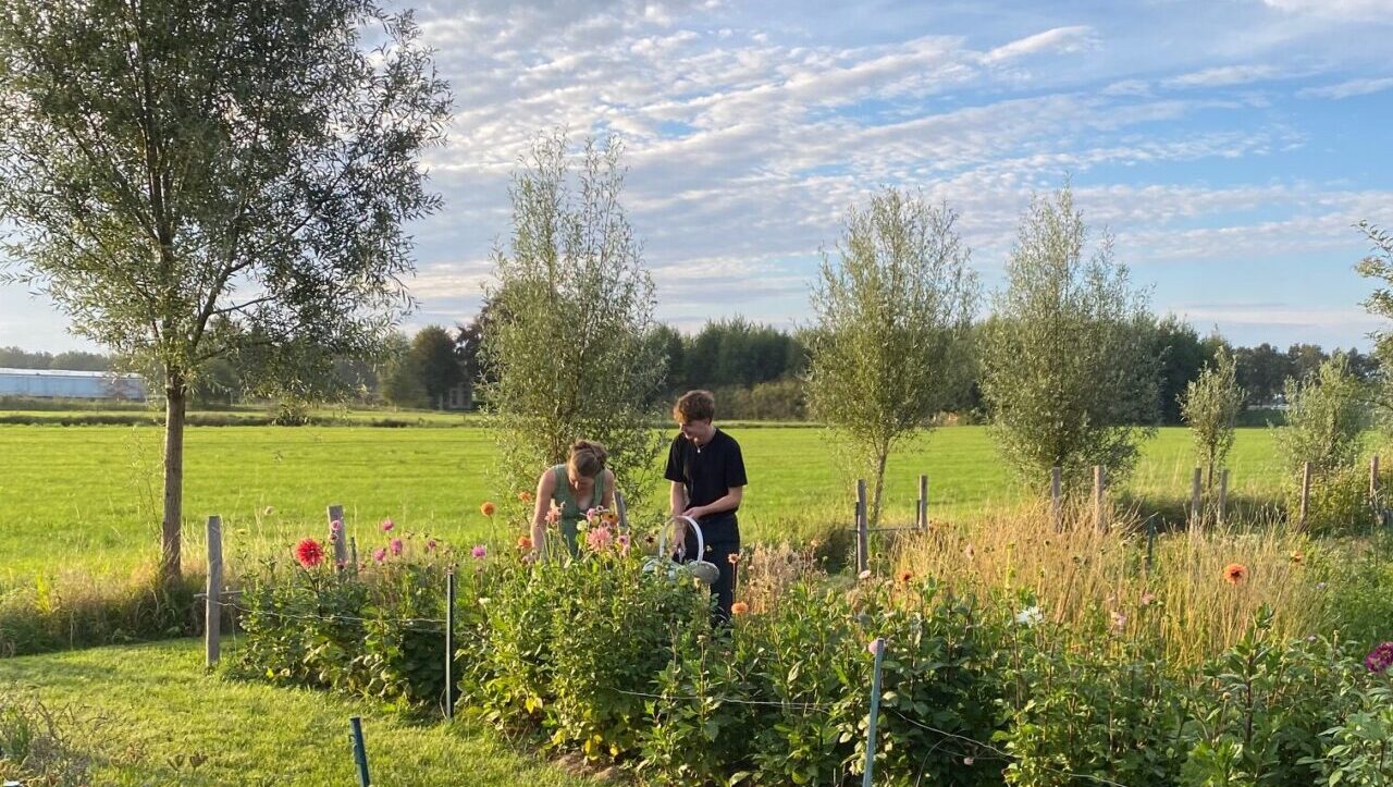 pluktuin Froombosch