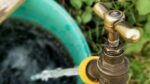 Subsidie voor tuin tegen extreem weer