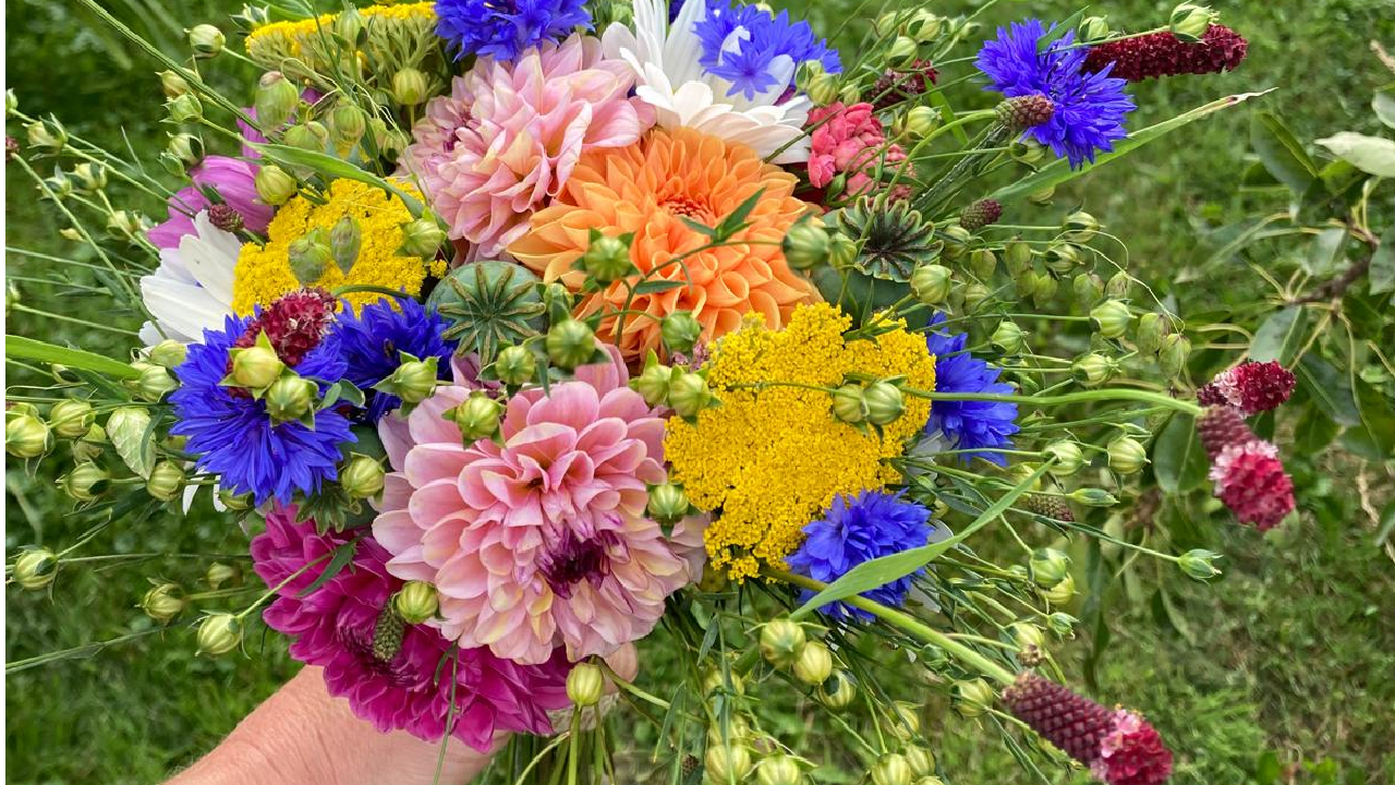 veldboeket pluktuin Froombosch