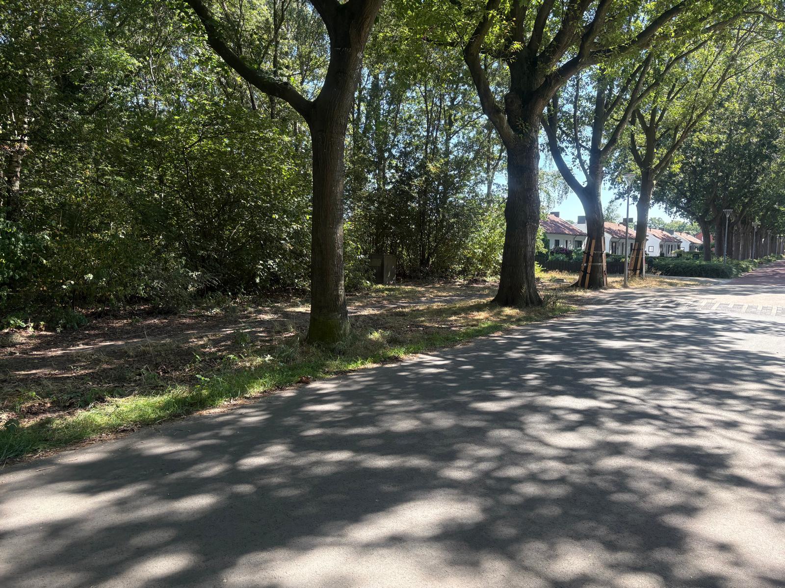 plannen voor zeventien levensloopbestendige sociale huurwoningen en het Holtkamphuis aan de Eikenlaan in Kolham