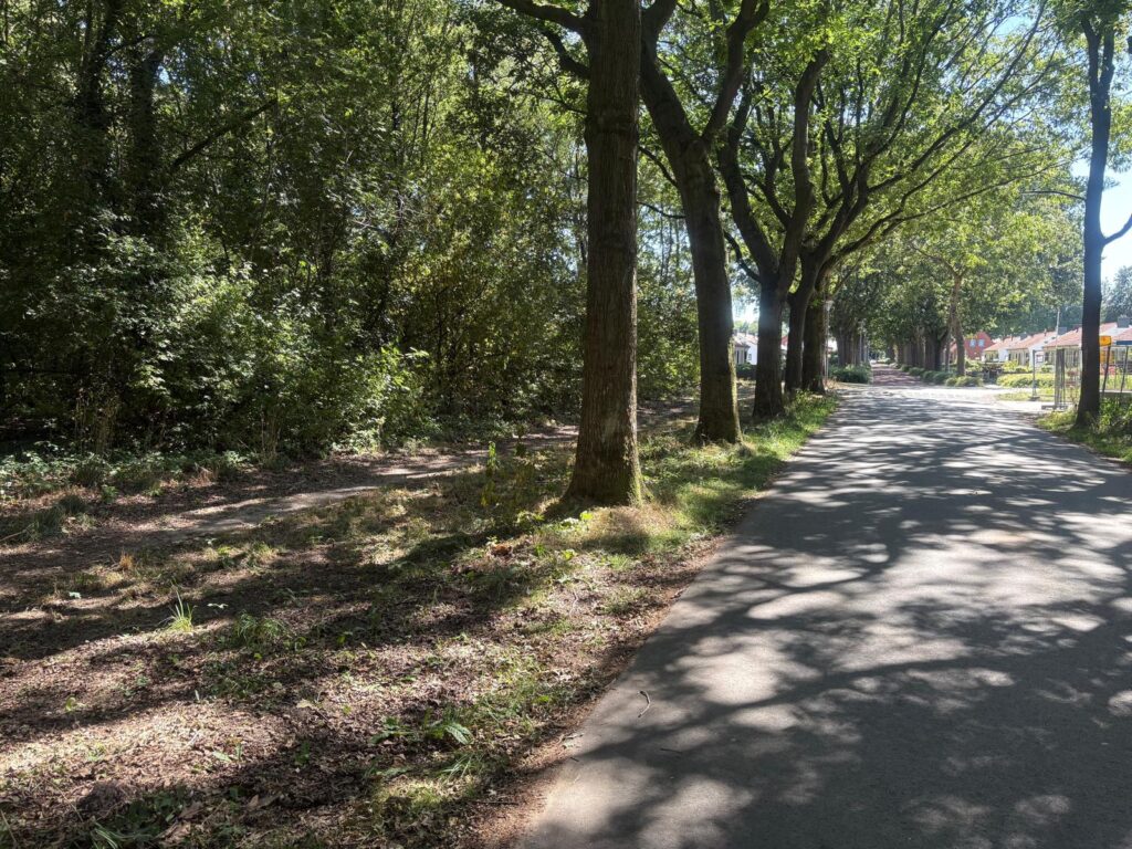 plannen voor zeventien levensloopbestendige sociale huurwoningen en het Holtkamphuis aan de Eikenlaan in Kolham