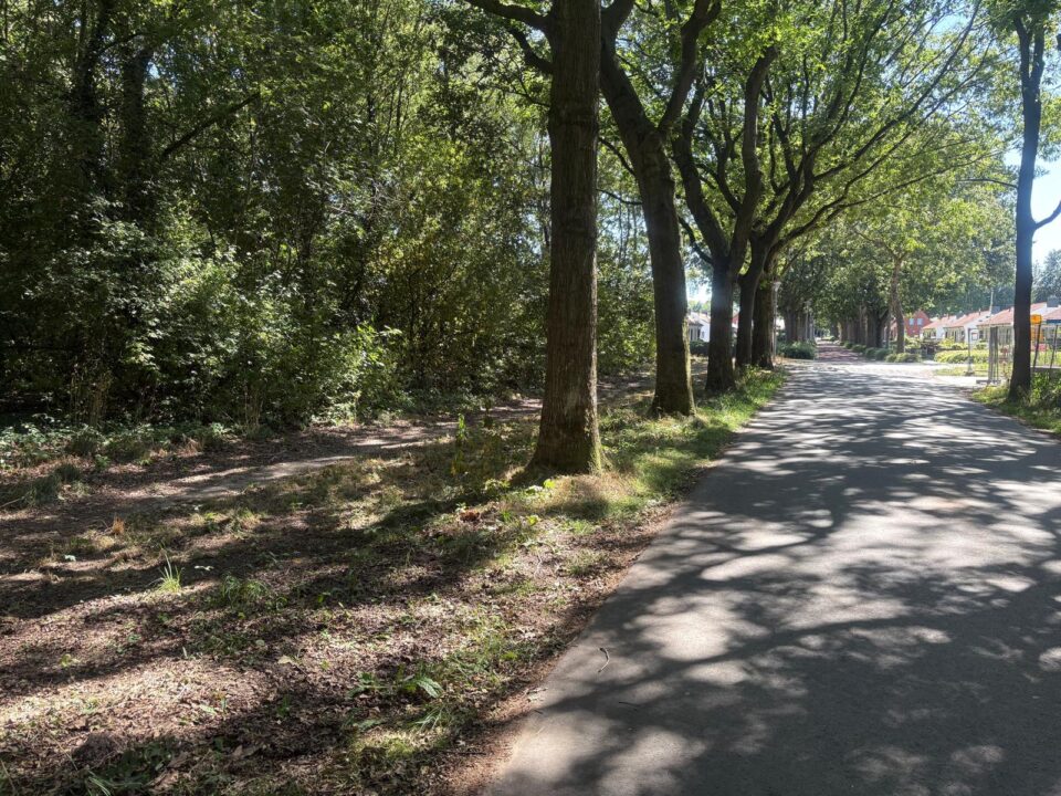 plannen voor zeventien levensloopbestendige sociale huurwoningen en het Holtkamphuis aan de Eikenlaan in Kolham