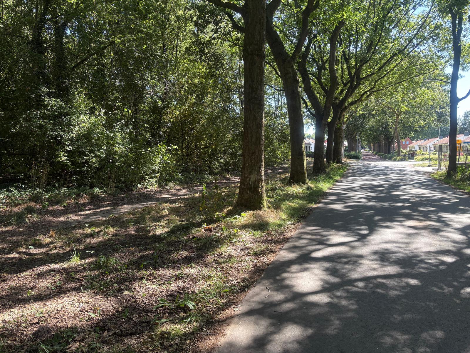 plannen voor zeventien levensloopbestendige sociale huurwoningen en het Holtkamphuis aan de Eikenlaan in Kolham