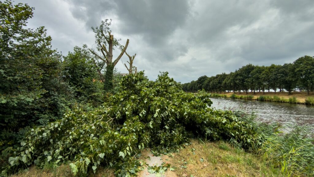 Bomenkap Winschoterdiep bij Sappemeer