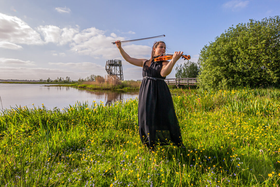 Festival Roeg Klassiek optie 2