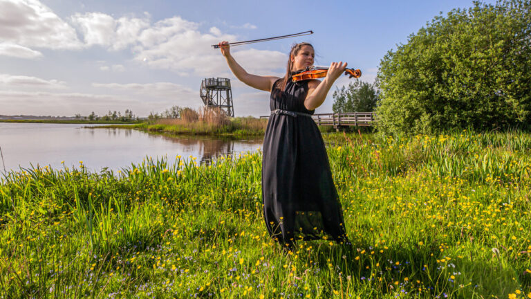 Festival Roeg Klassiek optie 2