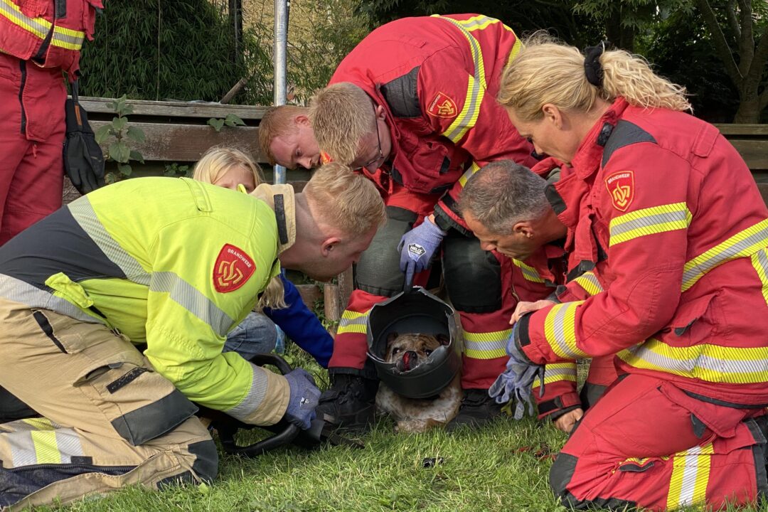 Hond met kop vast in ton, Saturnus Hoogezand